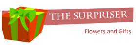 Thesurpriser.com Logo